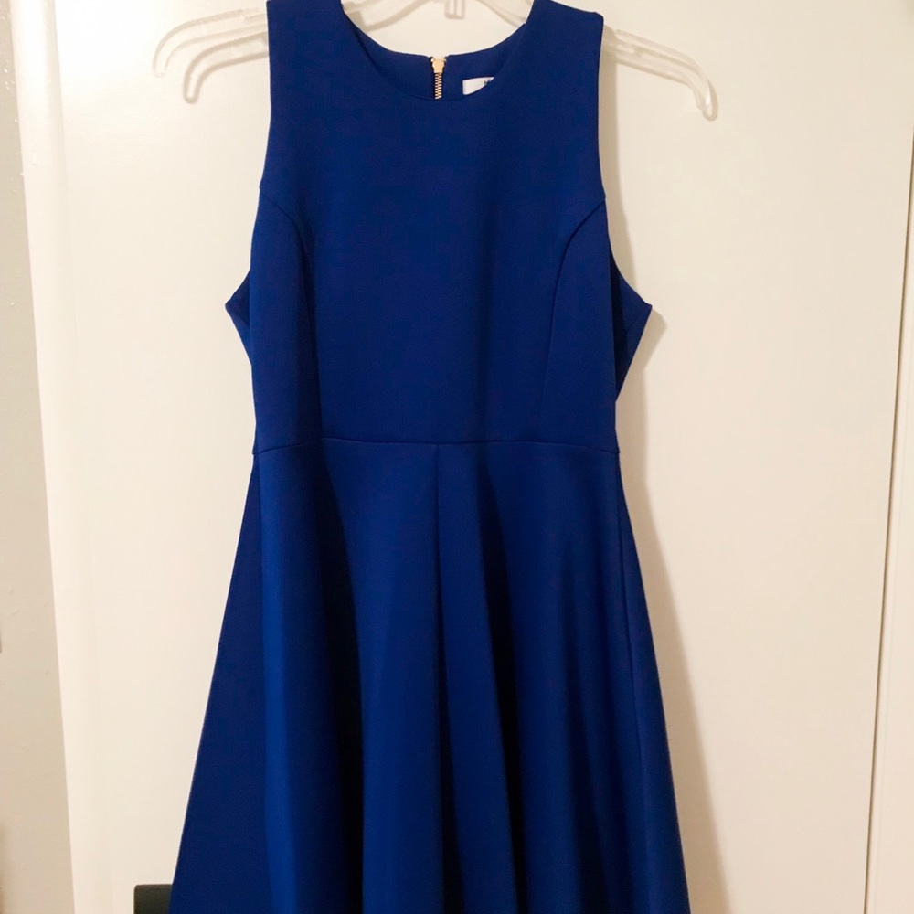 Royal blue neoprene dress with gold zipper back